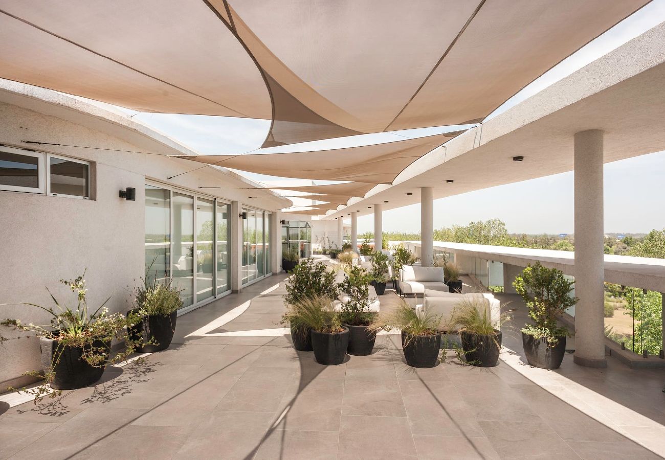 Estudio en Pilar - Pilar #025 · Discover Pilar in this New and Stunni
