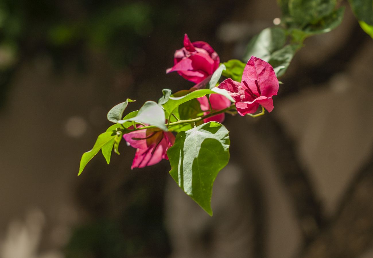 Apartamento en Buenos Aires - Loft Cabrera · Diseño Arte Moderno Plalermo