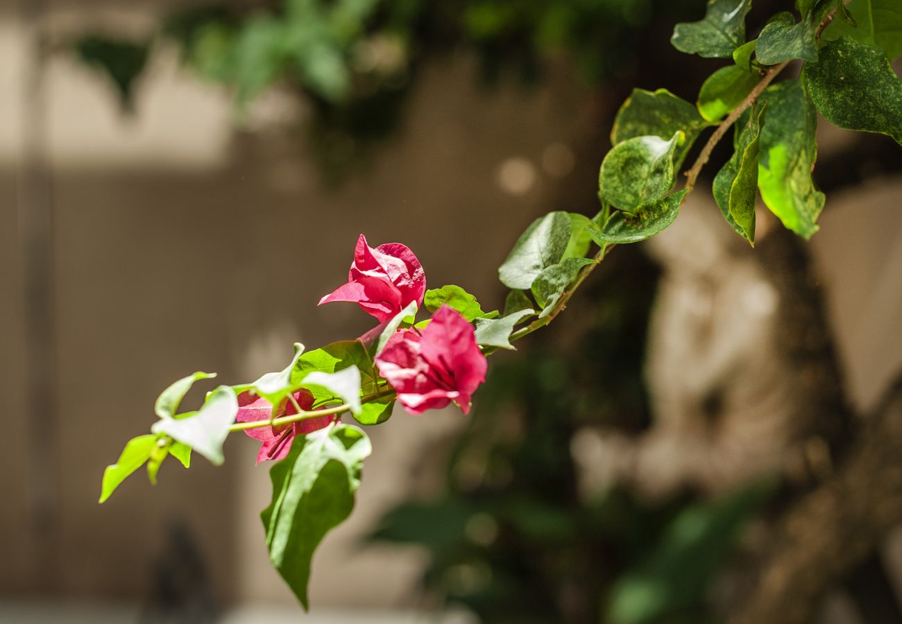 Apartamento en Buenos Aires - Loft Cabrera · Diseño Arte Moderno Plalermo