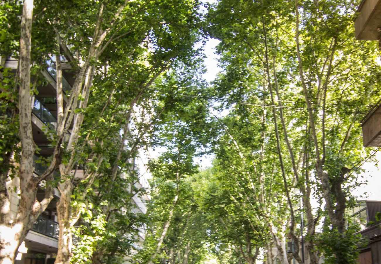 Estúdio em Buenos Aires - Carranza 1B · Stunning Oasis with