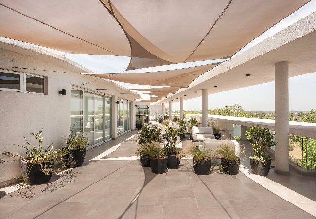 Studio in Pilar - Pilar #325 · Discover Pilar in this Stunning Apt Studio in Pilar - Pilar #325 · Discover Pilar in this Stunning Apt