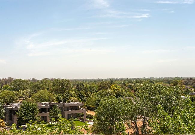 Studio in Pilar - Pilar #325 · Discover Pilar in this Stunning Apt Studio in Pilar - Pilar #325 · Discover Pilar in this Stunning Apt
